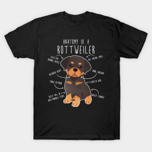 Rottweiler Anatomy T-Shirt